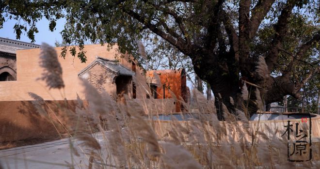 “泥土”的诗篇:探寻新型夯土墙建筑装饰的艺术之美(图4)