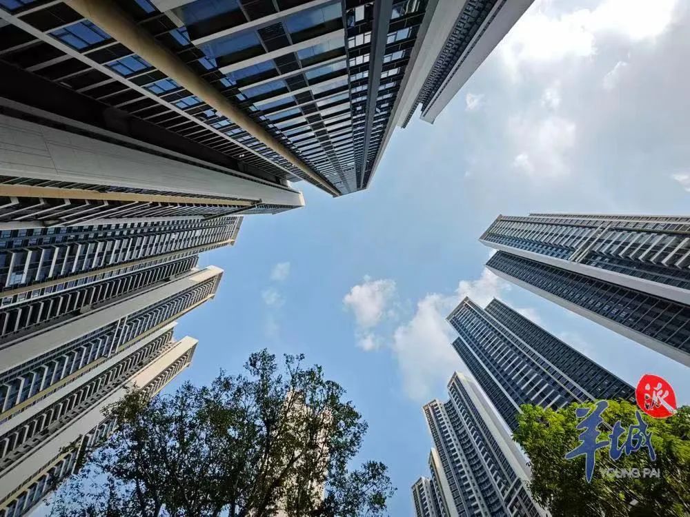 广州拟对房屋使用安全立法(图2)