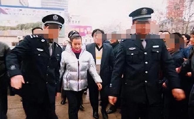 刘晓庆北京私宅被曝光近150000一平看完室内装修网友受不了(图6)