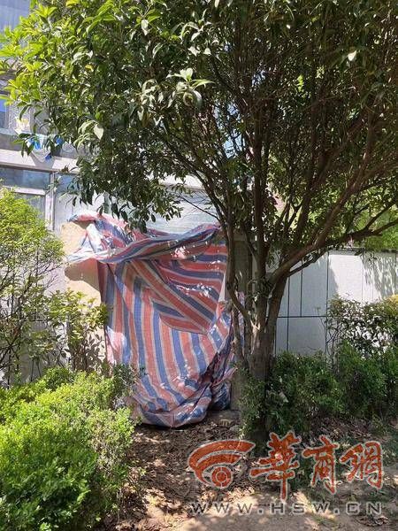 西咸新区一小区加盖严重认定并受理立案的违建为33户(图1)
