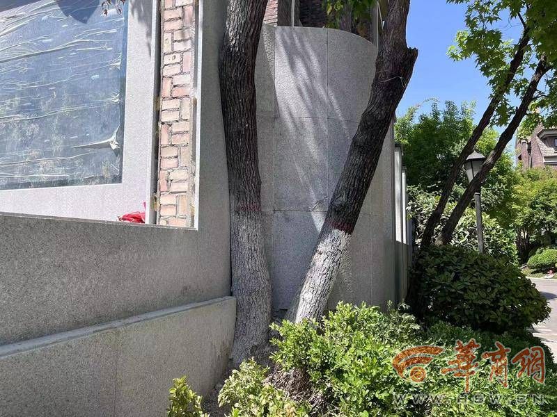 西咸新区一小区加盖严重认定并受理立案的违建为33户(图2)
