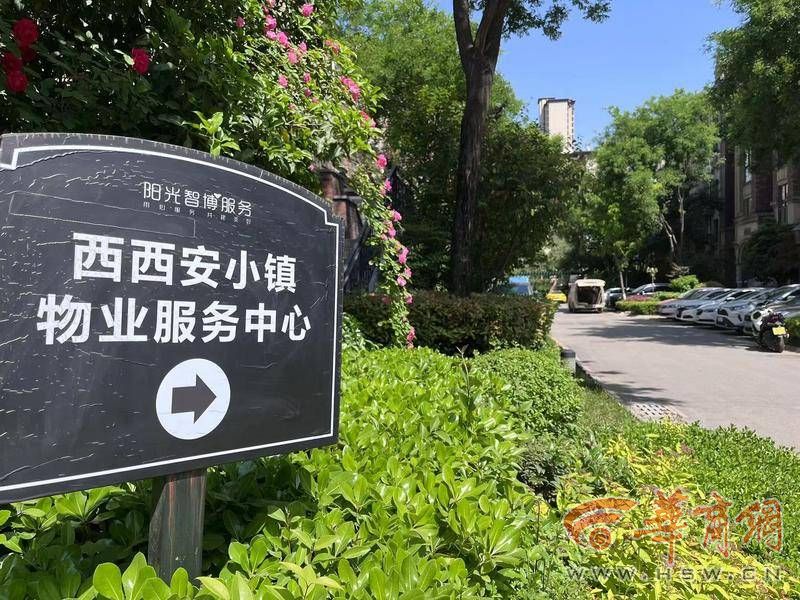 西咸新区一小区加盖严重认定并受理立案的违建为33户(图3)
