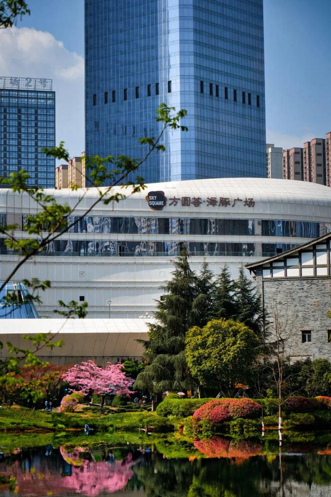 新地标来了！西南最大“海豚”建筑即将亮相(图15)