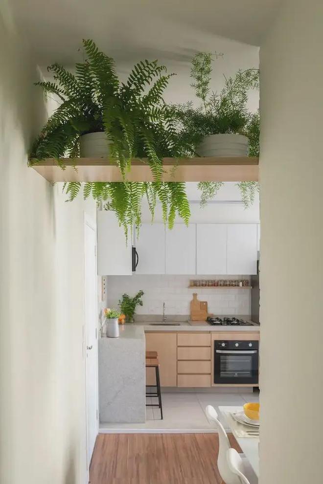 看这篇！不用花大价钱就能轻松打造出室内植物角(图4)