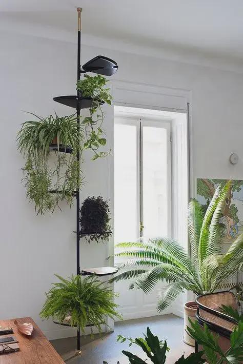 看这篇！不用花大价钱就能轻松打造出室内植物角(图7)