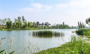 建筑装饰行业呈现快速发展态势2021房屋修缮行业发展趋势及前景分析(图10)