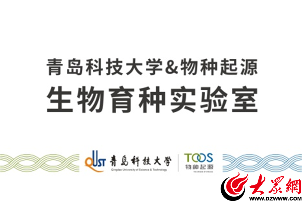 聚焦科技创新引领市北区新增11家市级高层次人才平台载体！(图9)