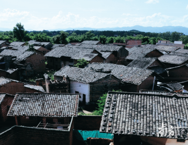 广东省民政厅(图2)