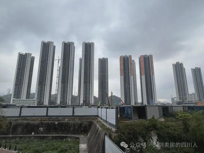 名居山河里（名居山河里）【】[](图4)