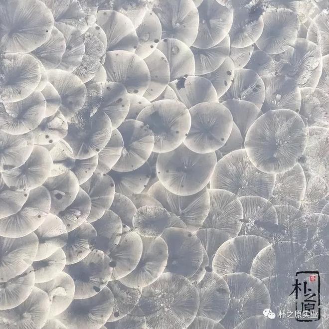 塑造未来空间:公共设施中混凝土装饰板的创新探索(图2)