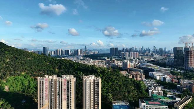 深圳南山鼎胜·金域阳光户型面积约87-130㎡3-4房带精装修交房(图1)