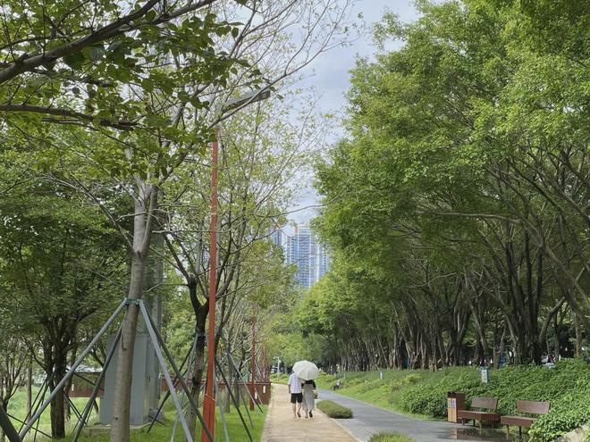 深圳南山鼎胜·金域阳光户型面积约87-130㎡3-4房带精装修交房(图19)