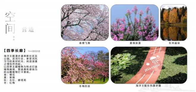 一文读懂青浦国贸虹桥璟上优缺点!分析一下国贸虹桥璟上值得买吗?(图6)