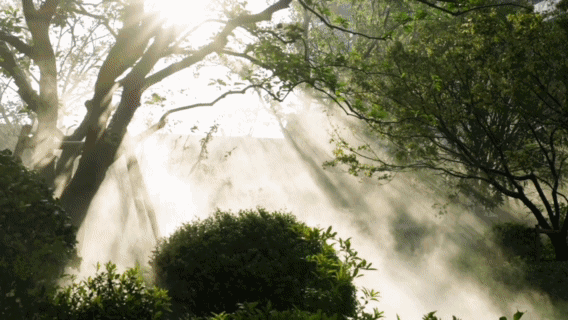 杭州钱塘河印观翠湾项目在哪里？河印观翠湾是精装修吗？-置业热线(图4)