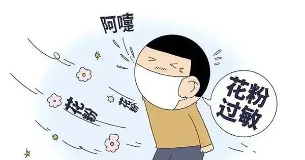 什么是过敏原空气净化器该如何选?好用除菌、过敏原净化器分享(图1)