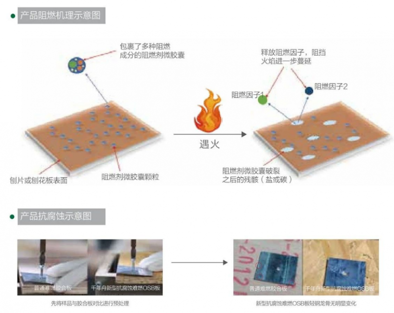 「千年舟新型难燃OSB板」以科技力量守护生命财产安全(图3)