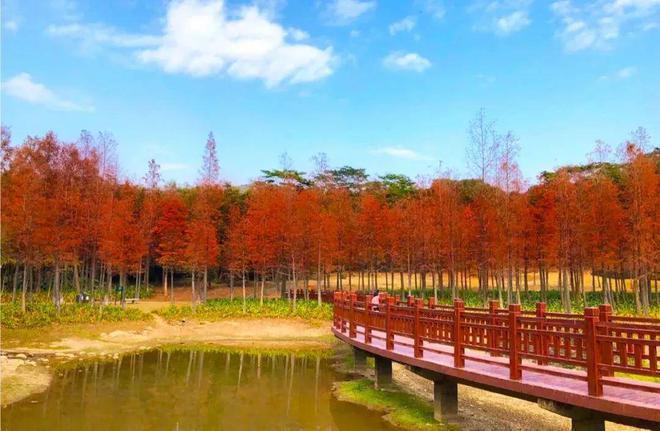 远洋天祺(售楼处)远洋天祺售楼处2024最新发布(图8)