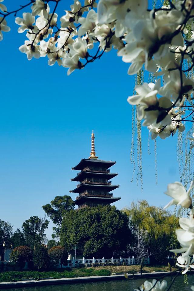 宝山寺古建筑技法因何牵动人心？(图4)