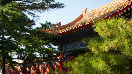 古建艺术季:太庙金色屋顶下的中轴线之旅(图5)