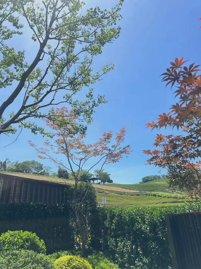 中海月陇云岚售楼处电-中海月陇云岚发布-房天下(图10)