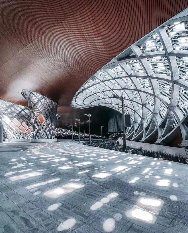 杭州奥体中心体育游泳馆(图6)