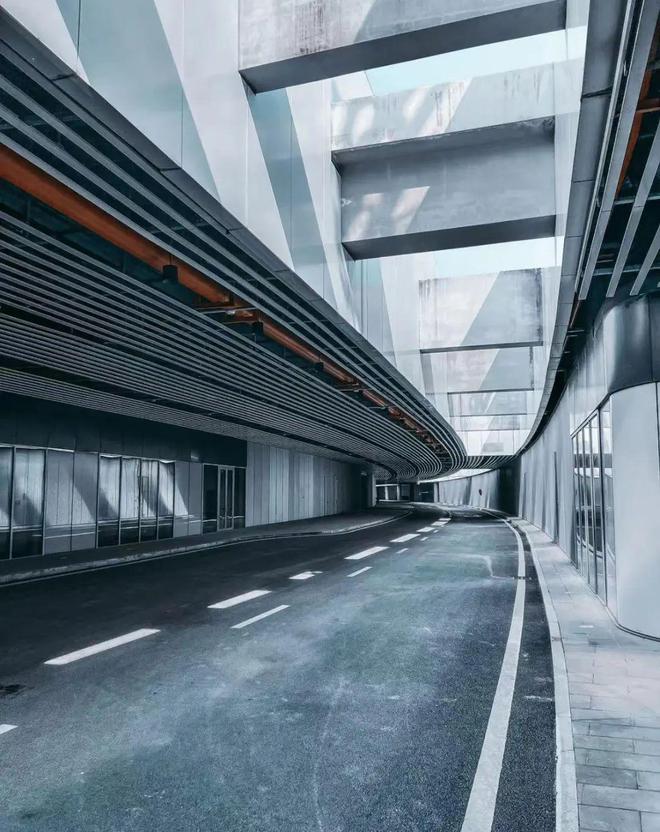 杭州奥体中心体育游泳馆(图4)