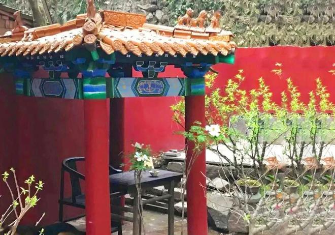 不工作、不结婚!浙江女孩28岁自费1万花150天把故宫“搬”回家(图14)