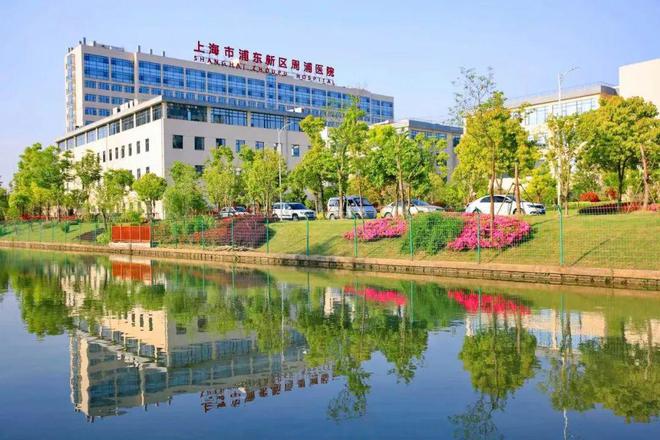 上海「碧云澧悦」二期网站-碧云澧悦首页-欢迎你(图34)