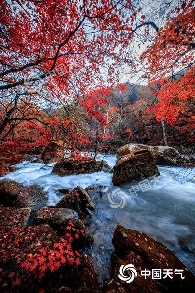 红叶季开启!2024全国赏红叶地图出炉盘点十大推荐地独家秋色(图2)