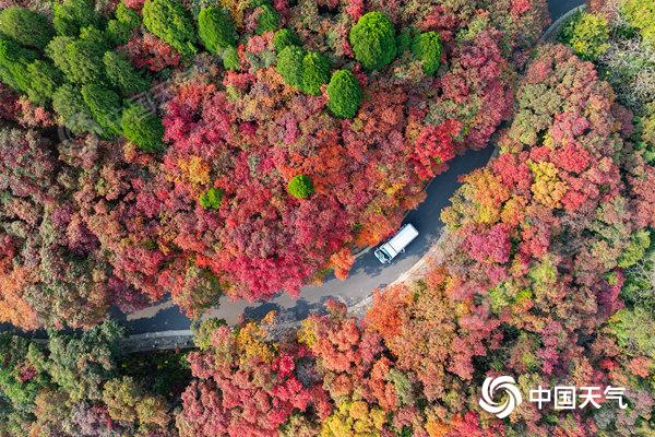 红叶季开启!2024全国赏红叶地图出炉盘点十大推荐地独家秋色(图4)