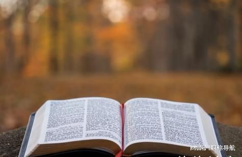 河北省中级职称评审流程(图1)