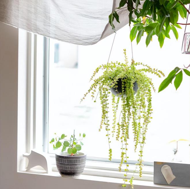 极简风住房内部照曝光：这样装修简单就是高级(图5)