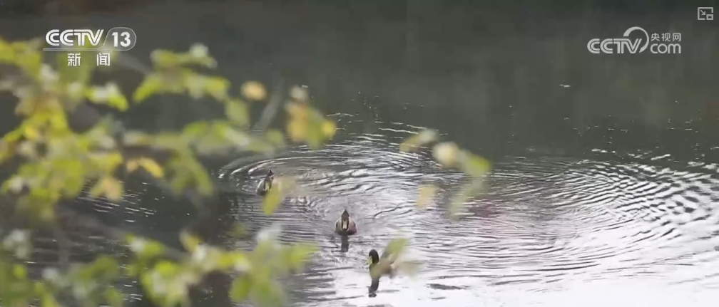 文化中国行“古建之美+良好生态”古村落群焕发新风采(图4)