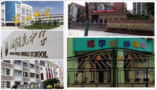 上海建邦国宸府2024网站-建邦国宸府楼盘详情-上海房天下(图3)