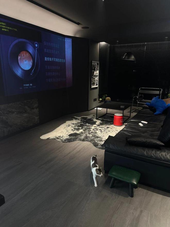 花岗岩不光用在室外室内装饰也是不错的选择(图5)