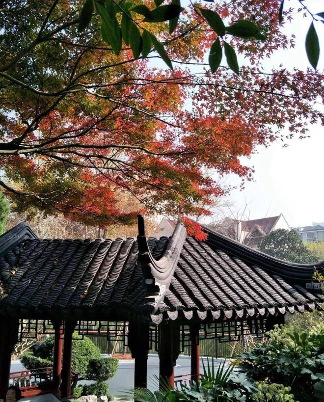 上海中建玖合大宁楼盘详情_中建玖合网站_欢迎您-上海房天下(图14)