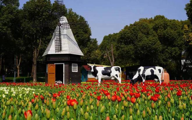 上海中建玖合大宁楼盘详情_中建玖合网站_欢迎您-上海房天下(图15)