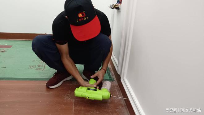 珠海装修白蚁预防服务(图2)