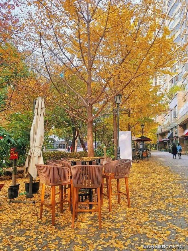 ®古北99闵行古北99售楼处发布：购房良机来了(图16)