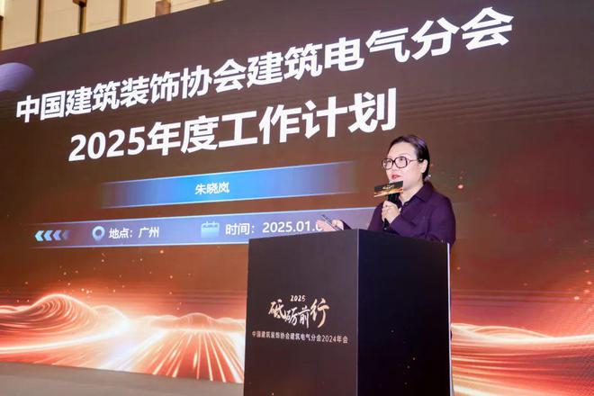 砥砺前行中国建筑装饰协会建筑电气分会2024年会盛大举行(图4)