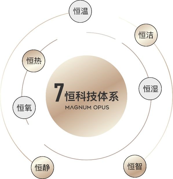 奢华感满级！高新顶配豪宅产品出现了(图2)