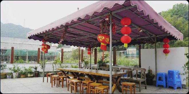 舟山人注意！家门口的端午王炸：赢奖金+免费音乐会(图19)