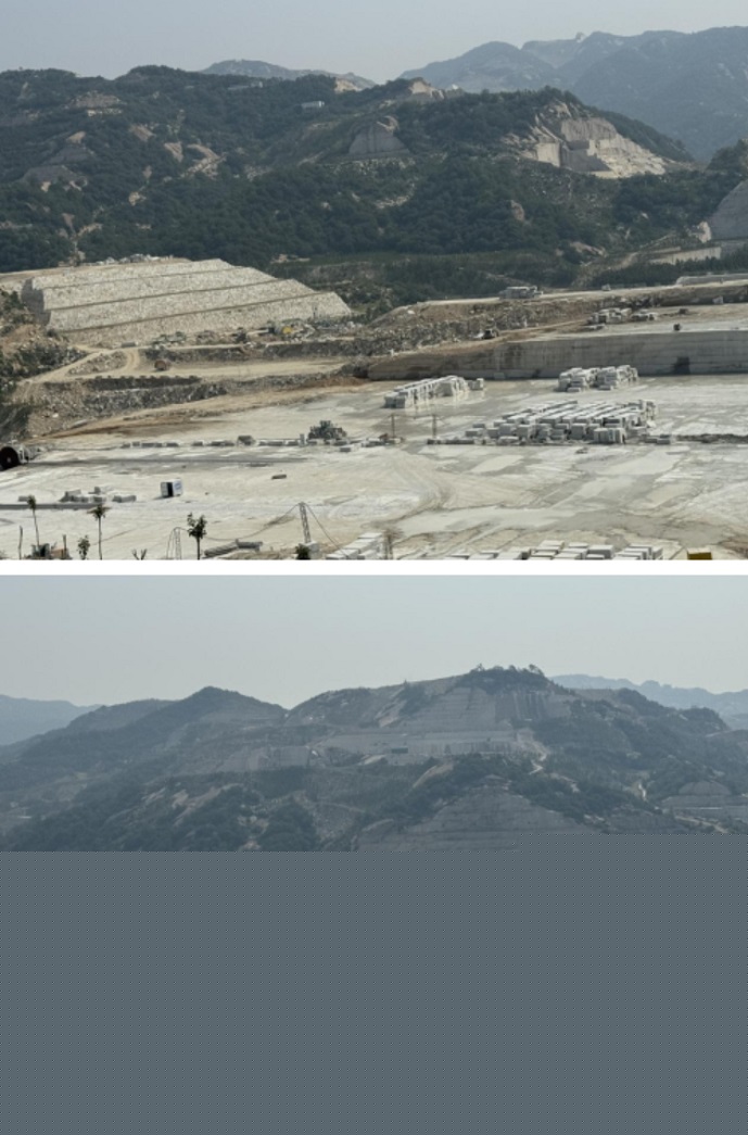 首届“炎帝·随石杯”盛典暨建筑装饰行业与随县石材产业（春季）精准对接交流会圆满落幕(图3)