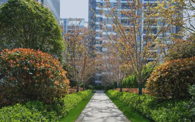 ‌擎动自贸区时代！临港中建玖海云天：世界级滨海生活范本首发(图13)