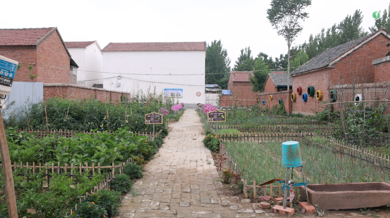 事关宅基地河南重磅发文!(图1)