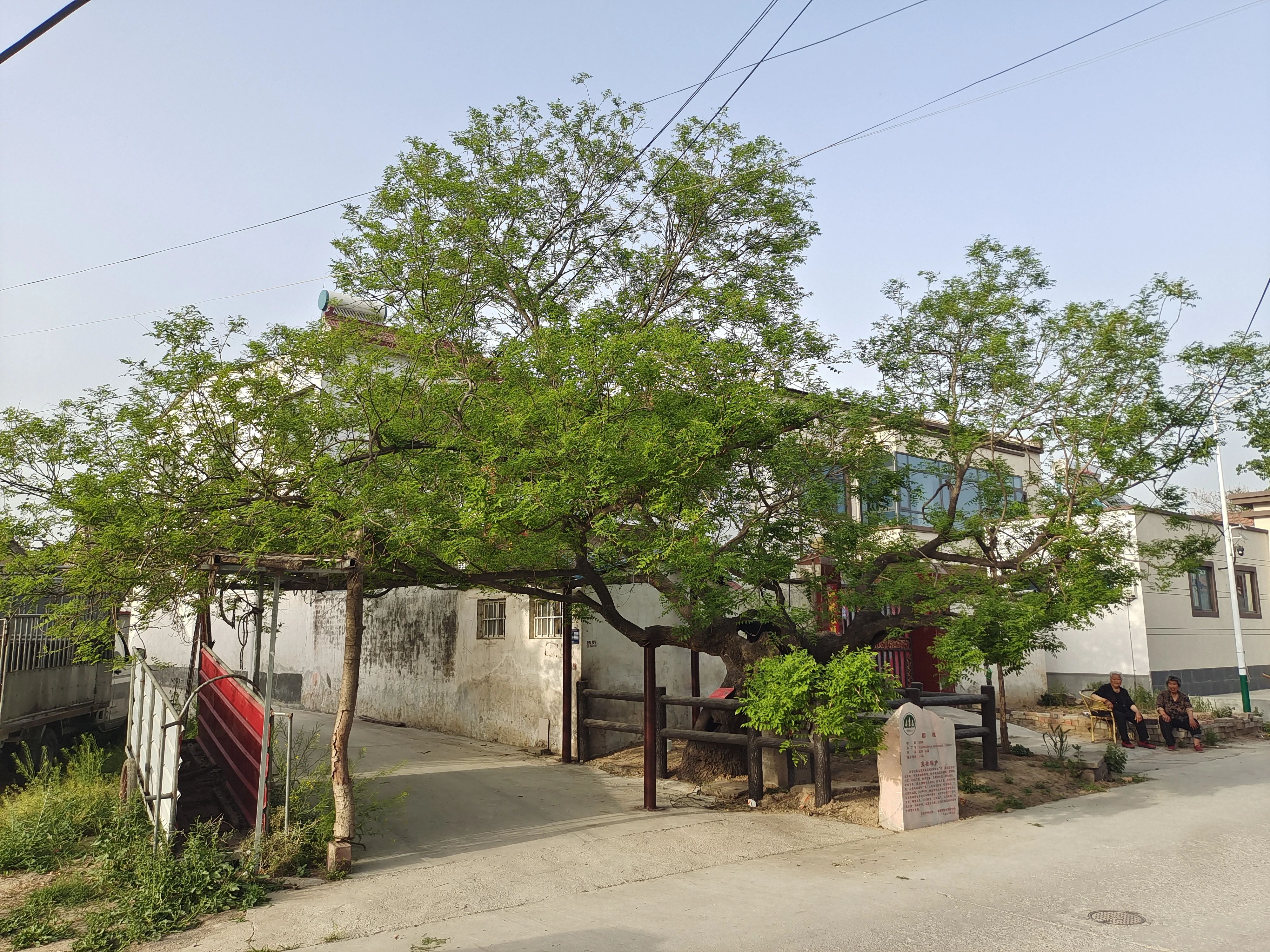 事关宅基地河南重磅发文!(图3)