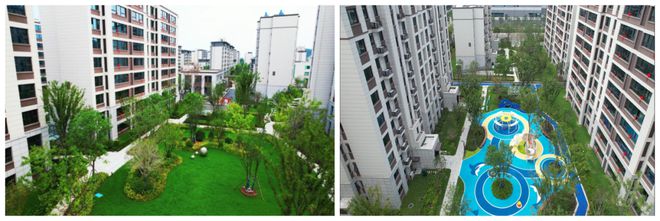 火爆！实景图曝光看完很多徐州人坐不住了…(图5)