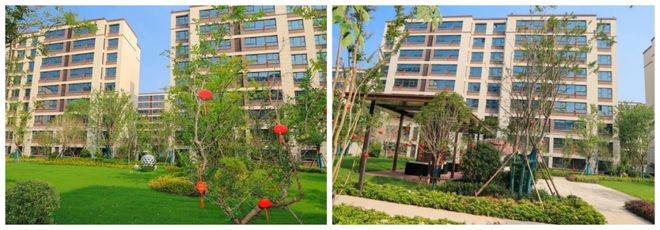 火爆！实景图曝光看完很多徐州人坐不住了…(图4)