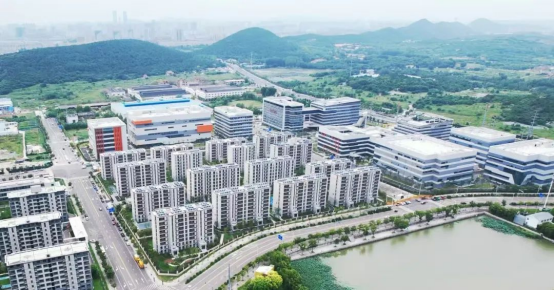 火爆！实景图曝光看完很多徐州人坐不住了…(图6)
