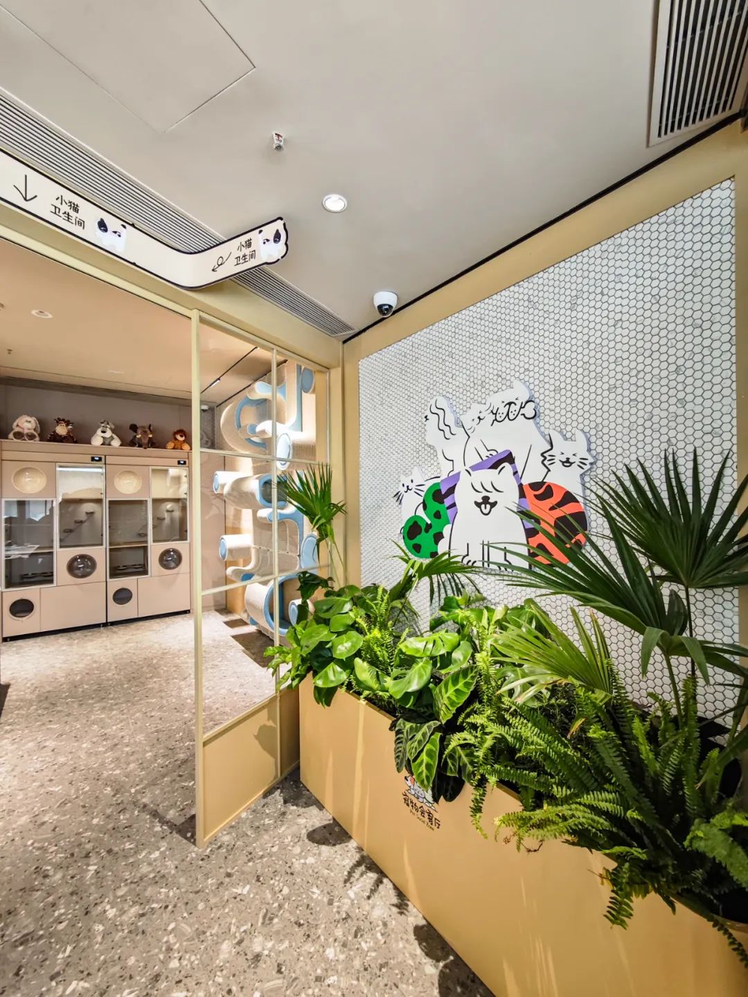 不止购物更是生活！玄武花园城解码城市级流量新密码(图5)